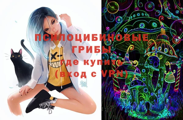 jwh Белокуриха
