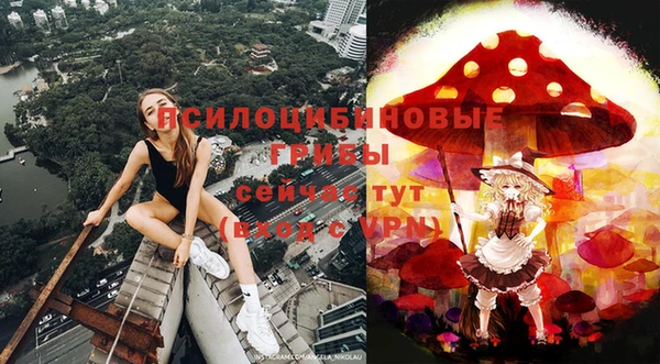 соль ск Беломорск