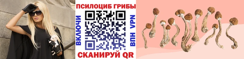 Галлюциногенные грибы мицелий  где купить   Коркино 
